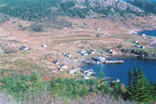481: Red Island harbour taken from Ryan's Hill. (circa 2000) [courtesy of Madonna (Bishop) Mulrooney]